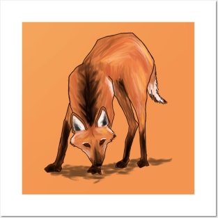 Maned wolf (Chrysocyon brachyurus) Posters and Art